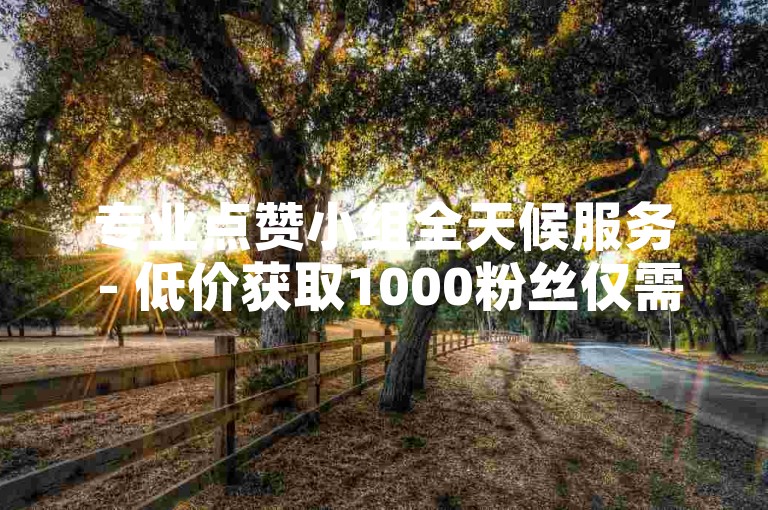 专业点赞小组全天候服务 - 低价获取1000粉丝仅需1元