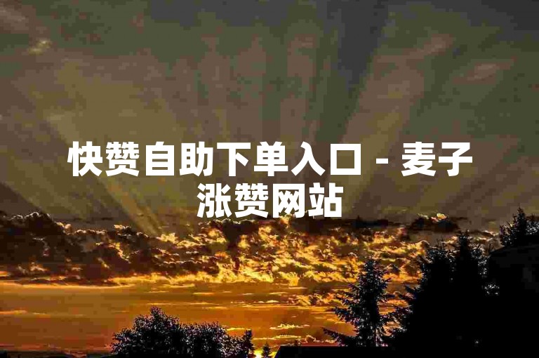 快赞自助下单入口 - 麦子涨赞网站