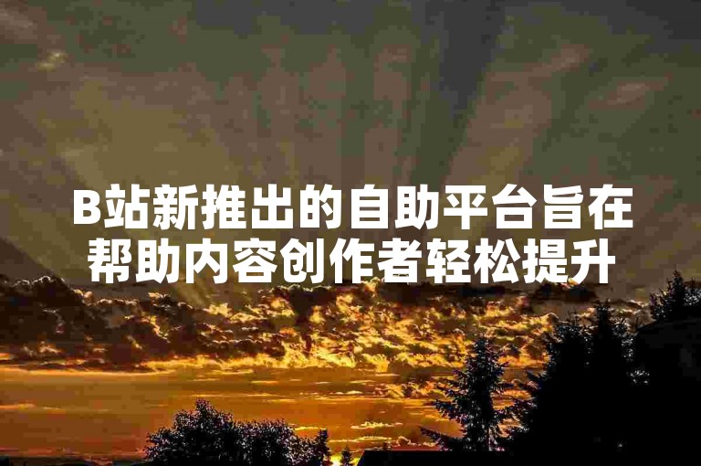 B站新推出的自助平台旨在帮助内容创作者轻松提升视频播放量。
