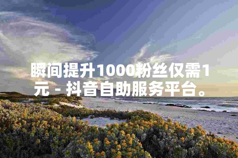 瞬间提升1000粉丝仅需1元 - 抖音自助服务平台。