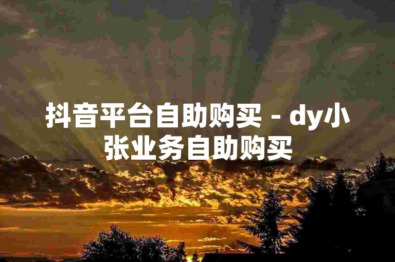 抖音平台自助购买 - dy小张业务自助购买