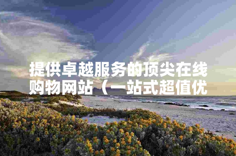 提供卓越服务的顶尖在线购物网站（一站式超值优惠平台）。