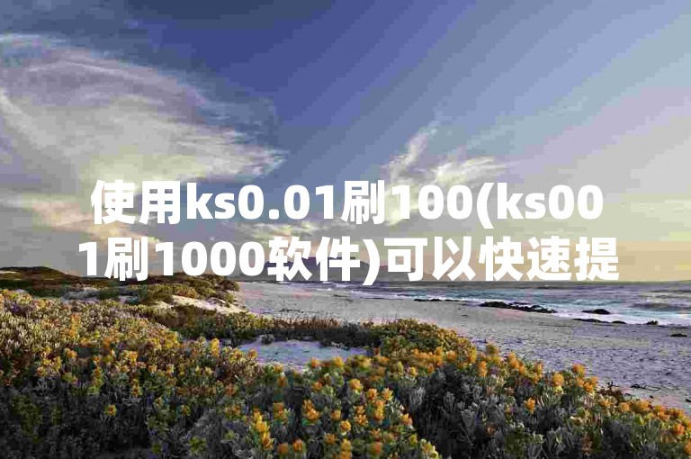 使用ks0.01刷100(ks001刷1000软件)可以快速提升游戏内虚拟物品的获取速度。