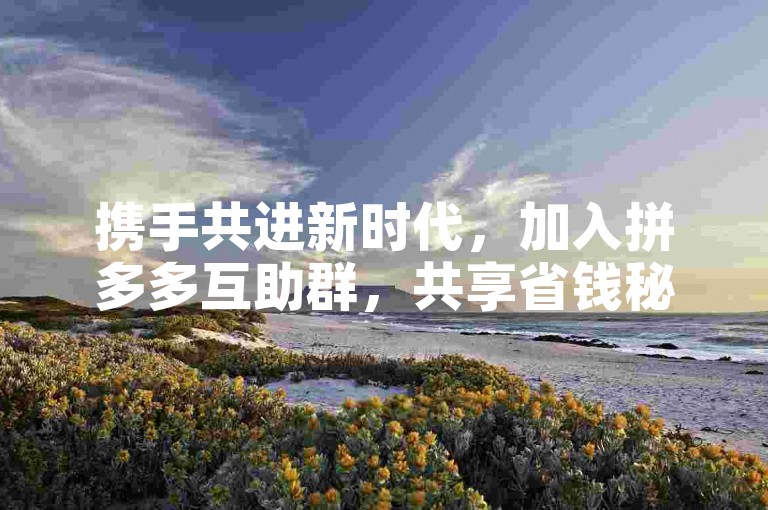 携手共进新时代，加入拼多多互助群，共享省钱秘籍！