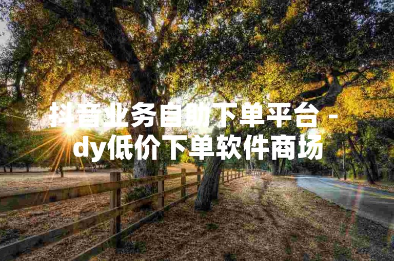 抖音业务自助下单平台 - dy低价下单软件商场