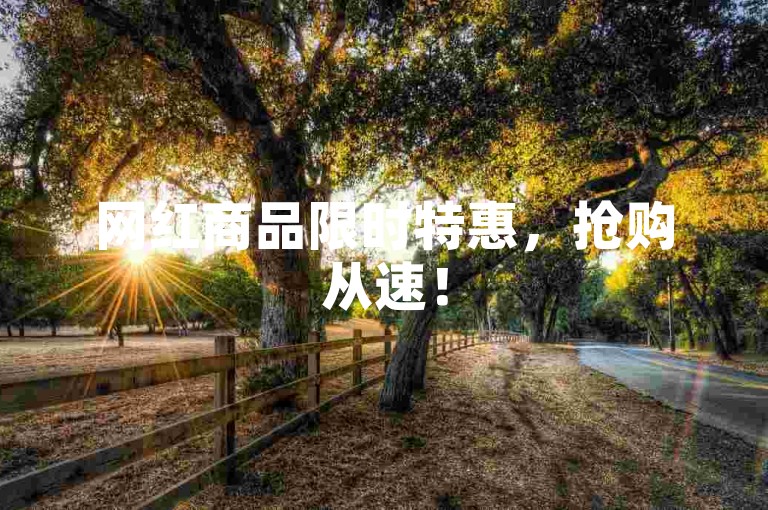网红商品限时特惠，抢购从速！