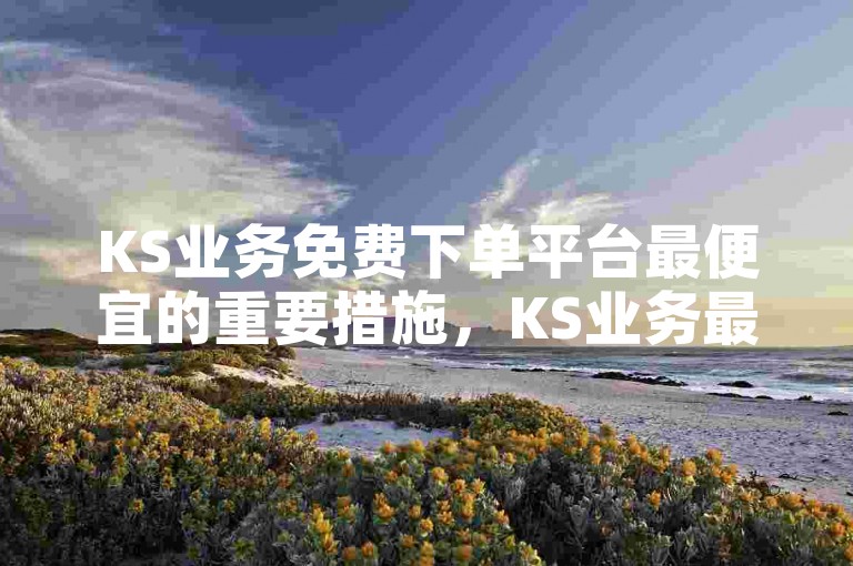 KS业务免费下单平台最便宜的重要措施，KS业务最低价格免费下单平台！新人必备！