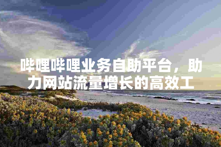 哔哩哔哩业务自助平台，助力网站流量增长的高效工具。