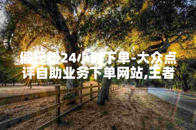 僵尸粉24小时下单-大众点评自助业务下单网站,王者荣耀人气值在线下单