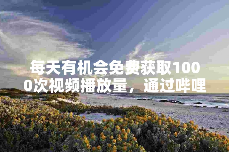 每天有机会免费获取1000次视频播放量，通过哔哩哔哩的自助服务平台轻松实现。