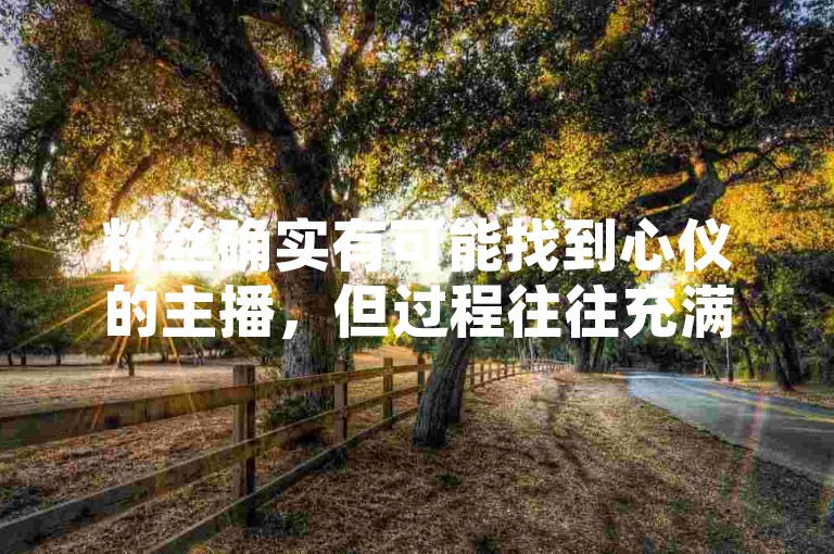 粉丝确实有可能找到心仪的主播，但过程往往充满挑战。