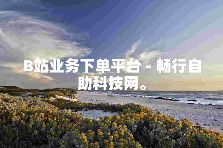 B站业务下单平台 - 畅行自助科技网。