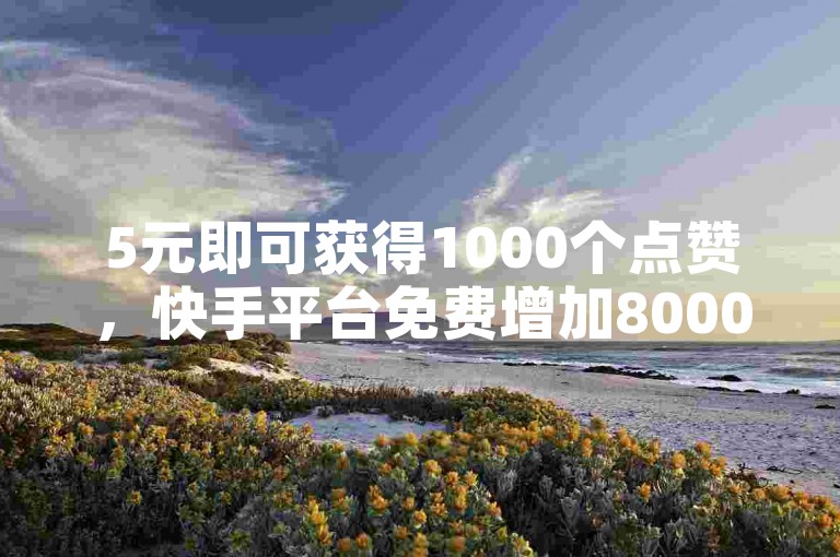5元即可获得1000个点赞，快手平台免费增加8000名粉丝。