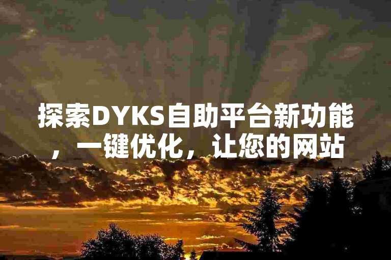 探索DYKS自助平台新功能，一键优化，让您的网站SEO排名飞跃！2024年必备技能。
