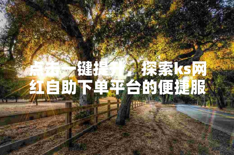 点击一键提升，探索ks网红自助下单平台的便捷服务。