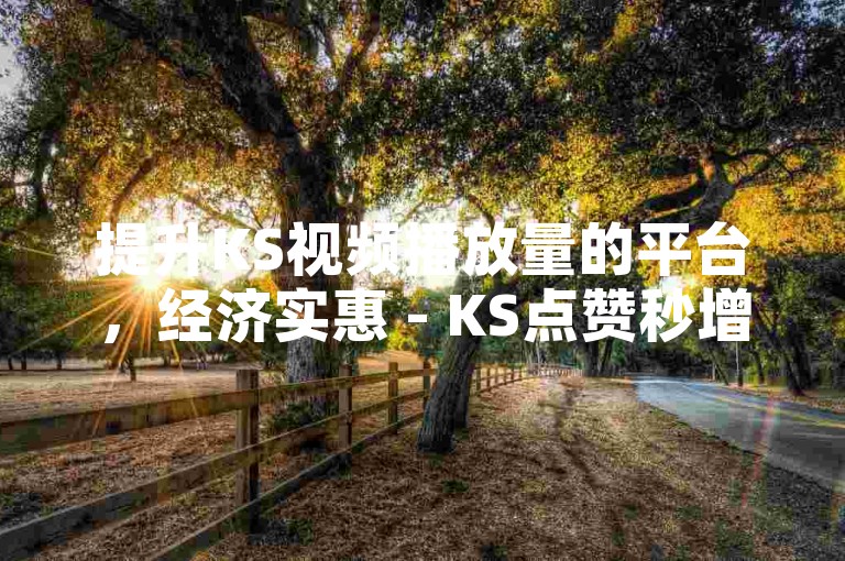 提升KS视频播放量的平台，经济实惠 - KS点赞秒增自助服务，微信下单便捷。