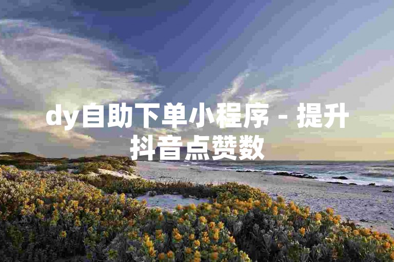 dy自助下单小程序 - 提升抖音点赞数