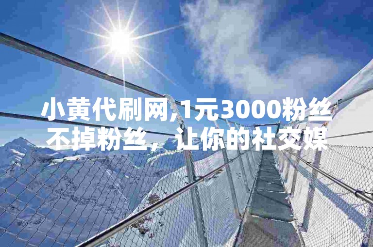 小黄代刷网,1元3000粉丝不掉粉丝，让你的社交媒体账号瞬间火爆。