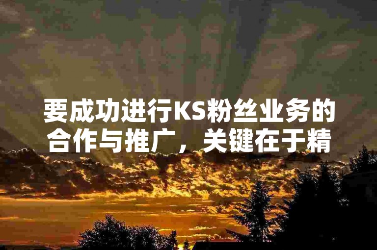 要成功进行KS粉丝业务的合作与推广，关键在于精准定位目标受众并制定创新的营销方案。