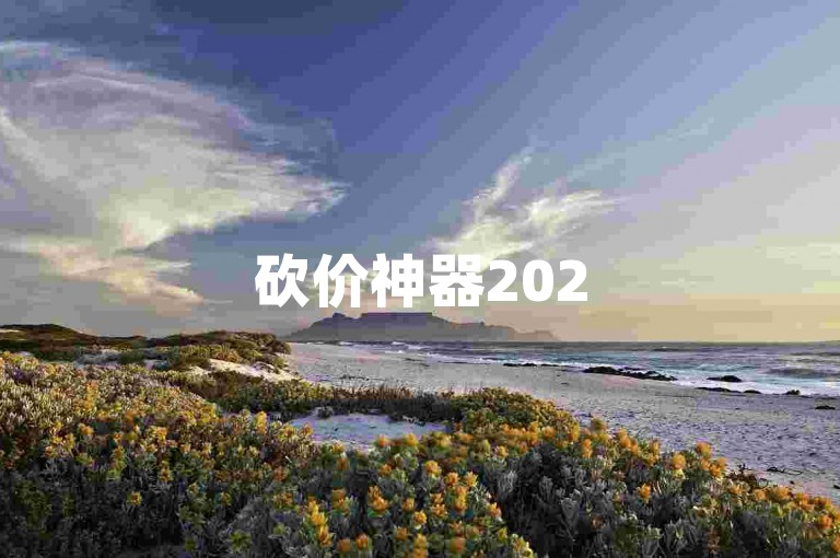 砍价神器2025拼多多互助群聊