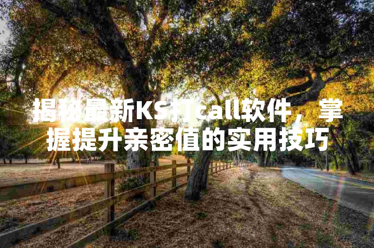 揭秘最新KS打call软件，掌握提升亲密值的实用技巧，2024年必备攻略！
