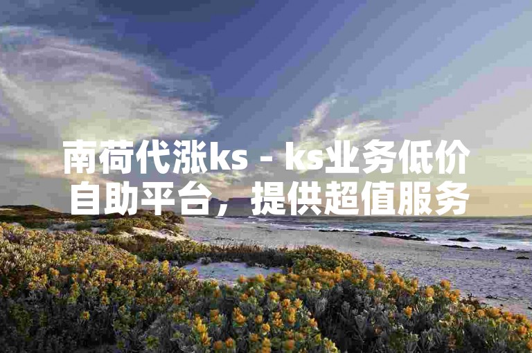 南荷代涨ks - ks业务低价自助平台，提供超值服务。
