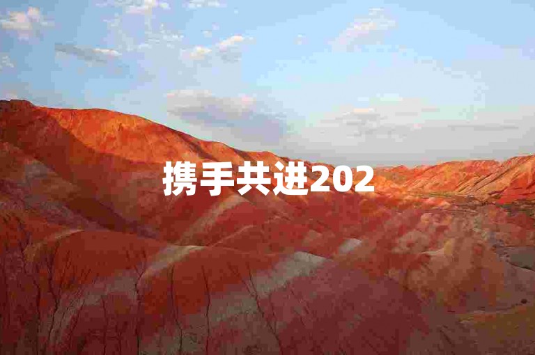 携手共进2025拼多多互助成长新起点