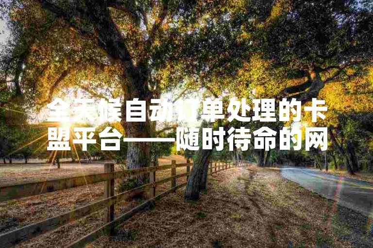 全天候自动订单处理的卡盟平台——随时待命的网站。