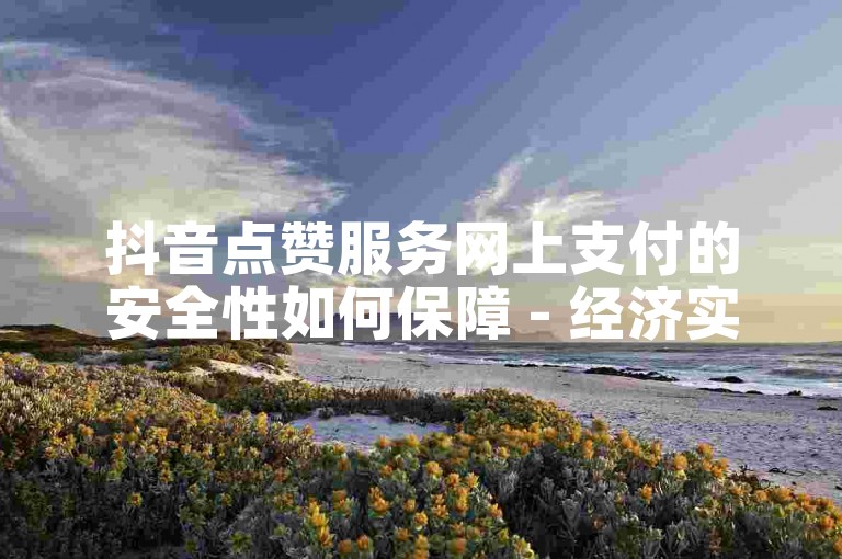抖音点赞服务网上支付的安全性如何保障 - 经济实惠的短视频平台推广方案