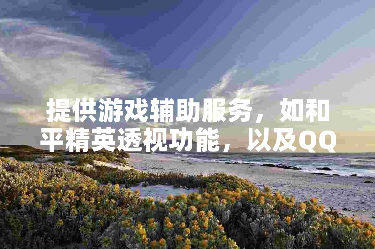 提供游戏辅助服务，如和平精英透视功能，以及QQ空间点赞服务的在线自助平台。