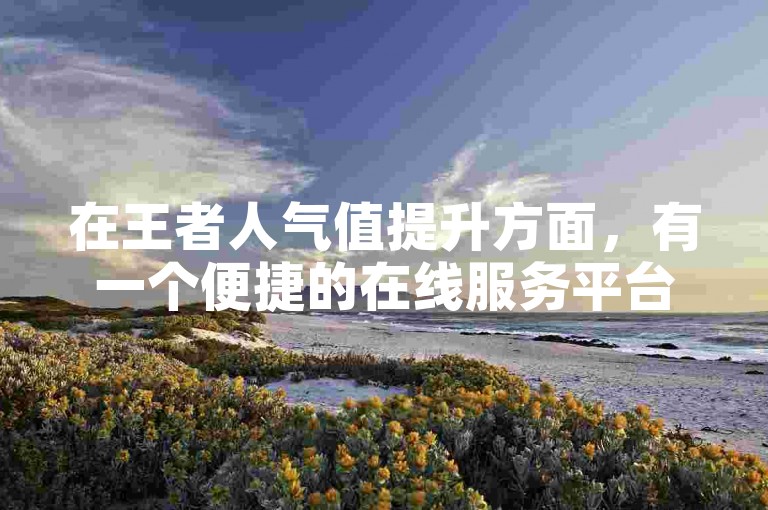 在王者人气值提升方面，有一个便捷的在线服务平台可供选择。