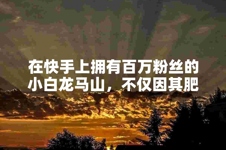 在快手上拥有百万粉丝的小白龙马山，不仅因其肥硕的身形引人注目，还因为他那精心装修的房产网站而备受瞩目。