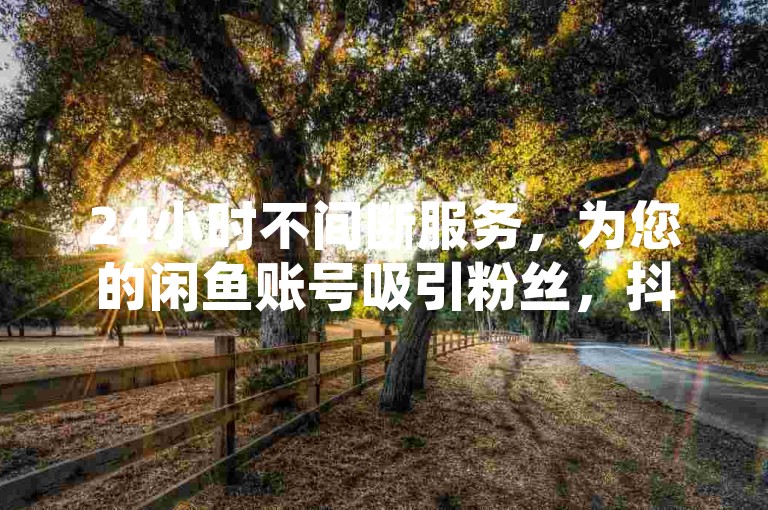 24小时不间断服务，为您的闲鱼账号吸引粉丝，抖音业务推广网站随时待命。