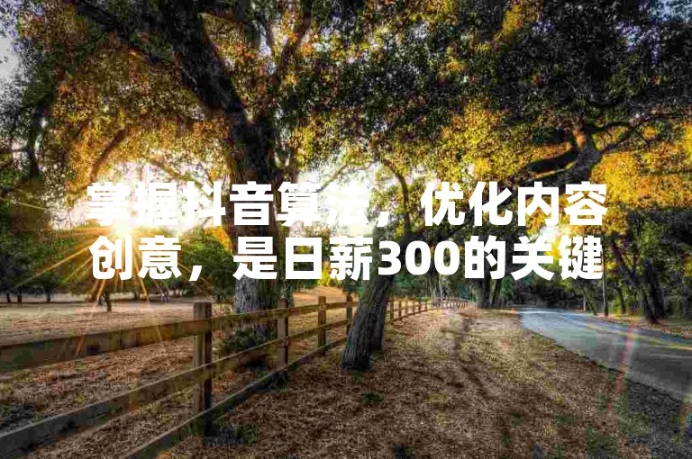掌握抖音算法，优化内容创意，是日薪300的关键步骤，快速积累点赞与关注！初学者必学！