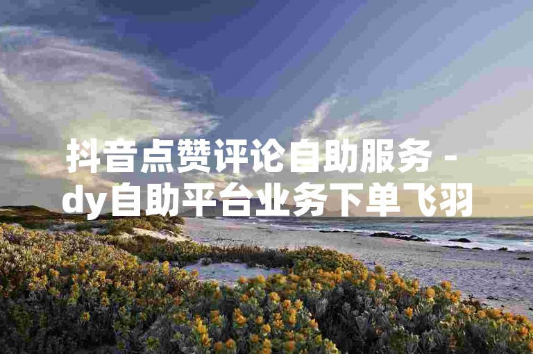 抖音点赞评论自助服务 - dy自助平台业务下单飞羽