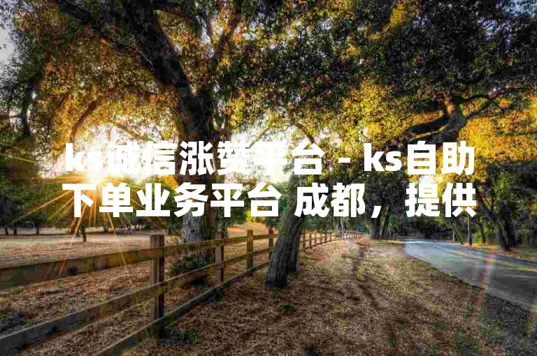 ks诚信涨赞平台 - ks自助下单业务平台 成都，提供高效便捷的服务。