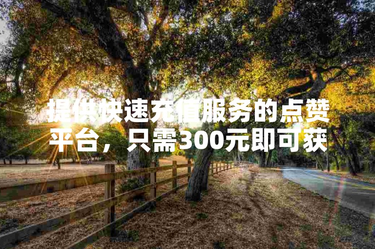提供快速充值服务的点赞平台，只需300元即可获得10000快币的超值优惠。
