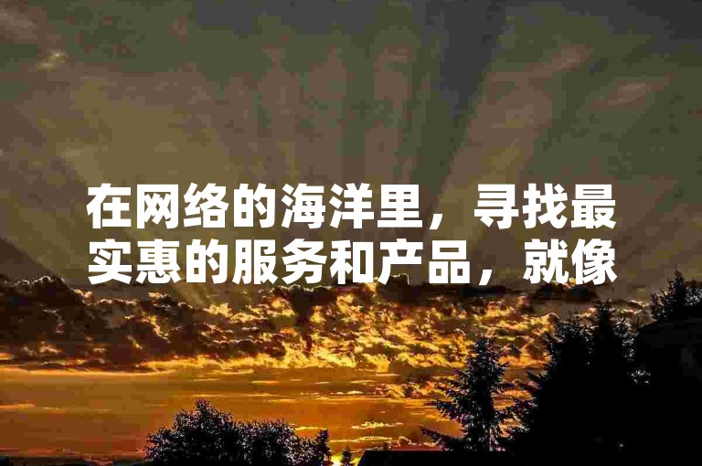 在网络的海洋里，寻找最实惠的服务和产品，就像捕捉风中的细语，需要耐心与智慧。