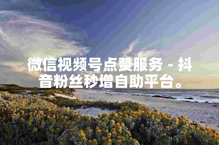微信视频号点赞服务 - 抖音粉丝秒增自助平台。