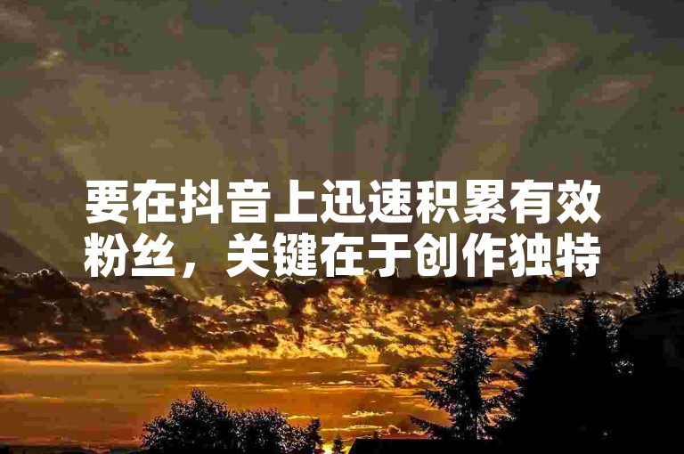要在抖音上迅速积累有效粉丝，关键在于创作独特且具有吸引力的内容，并与观众积极互动。