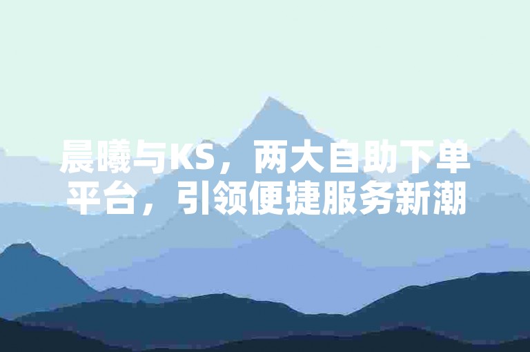 晨曦与KS，两大自助下单平台，引领便捷服务新潮流。