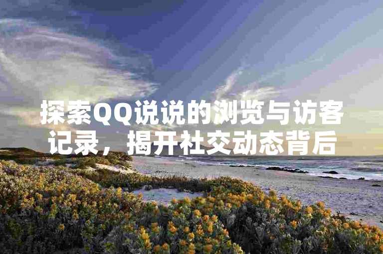 探索QQ说说的浏览与访客记录，揭开社交动态背后的数据秘密。