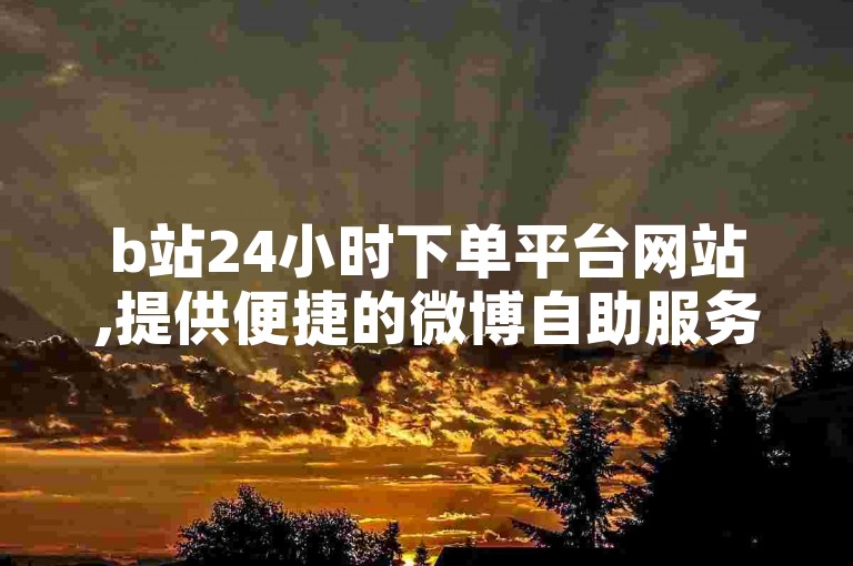 b站24小时下单平台网站,提供便捷的微博自助服务。