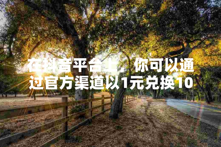 在抖音平台上，你可以通过官方渠道以1元兑换10币的优惠进行充值，同时还能获取QQ空间免费装扮的链接代码，并了解如何提升QQ空间访问量以及购买抖音白号的具体联系方式。