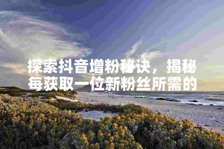 探索抖音增粉秘诀，揭秘每获取一位新粉丝所需的具体投入，2025年必备知识！