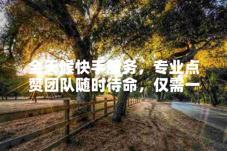 全天候快手服务，专业点赞团队随时待命，仅需一分钱即可获得高达10000次的视频播放量。