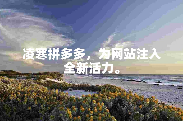 凌寒拼多多，为网站注入全新活力。