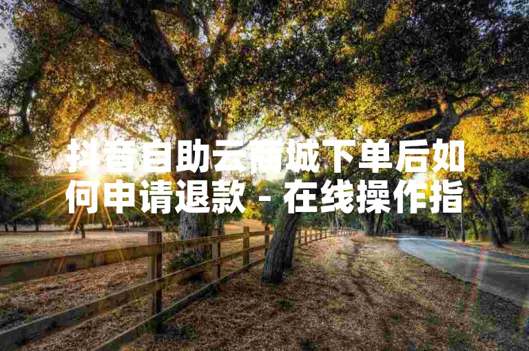 抖音自助云商城下单后如何申请退款 - 在线操作指南