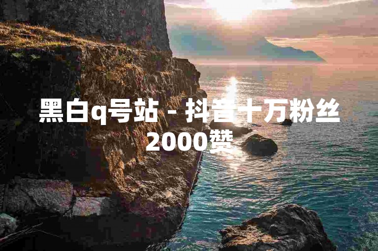 黑白q号站 - 抖音十万粉丝2000赞
