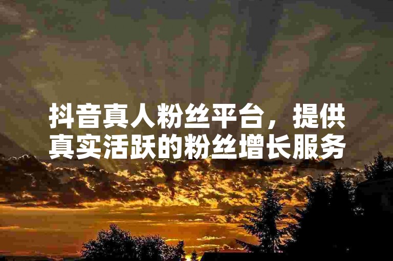 抖音真人粉丝平台，提供真实活跃的粉丝增长服务，确保账号安全与稳定，信誉至上。